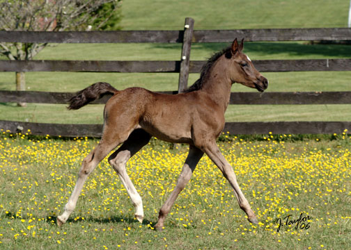 1 month old