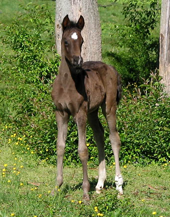 3 weeks old