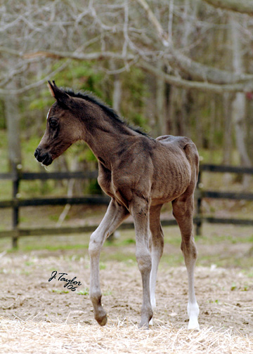 5 days old