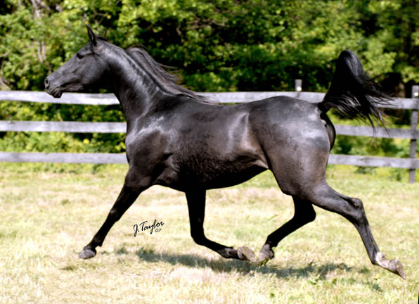 Picture taken July 2007 at 3 years old