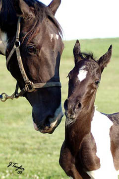 June 2005 - 1 day old