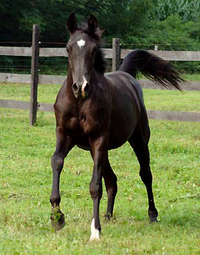 July 2005 - 1 year old