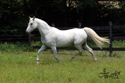 July 2004 - 22 years old