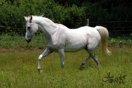 July 2004 - 22 years old