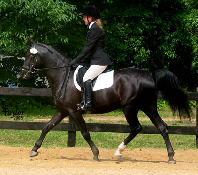 June 2005