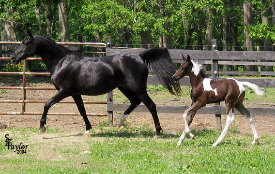 Magic at 2 weeks old